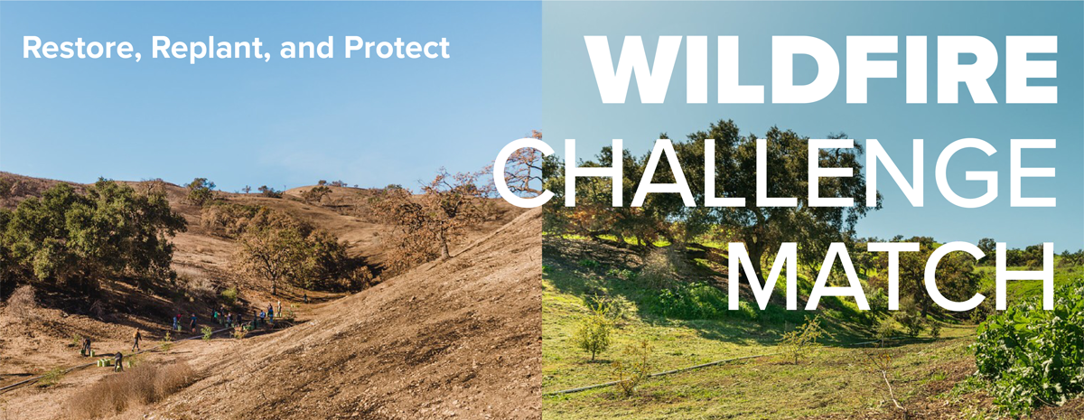 Wildfire Challenge Match